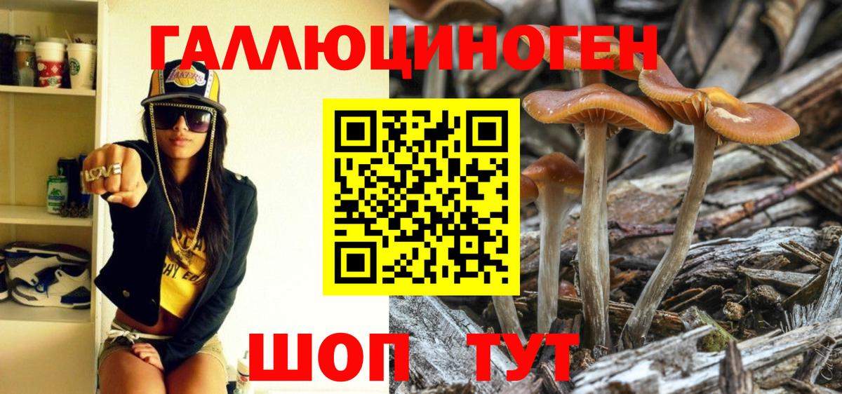 Рубцовск  Псилоцибиновые грибы мухоморы  цены   Вход с VPN 